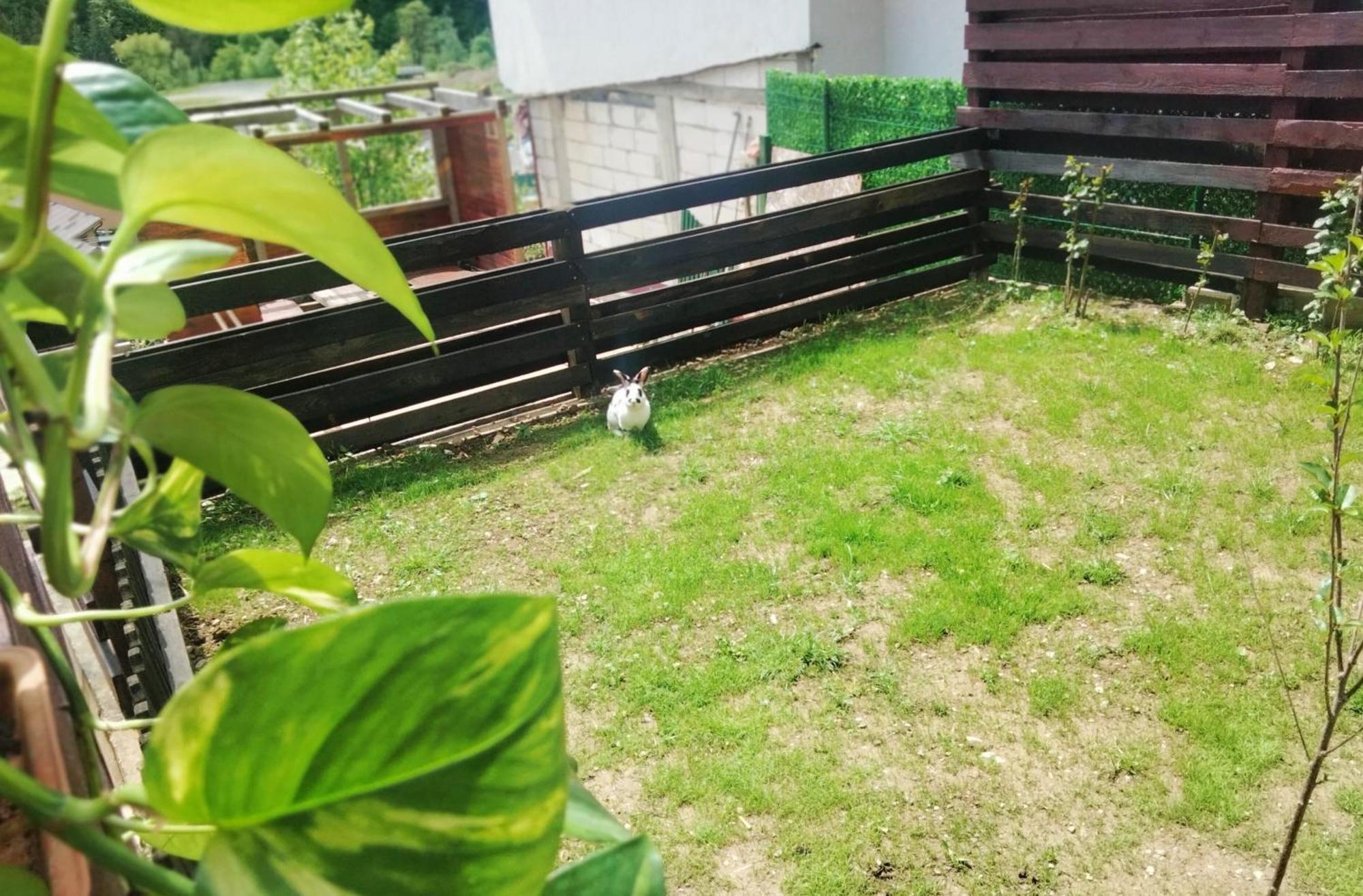 Homestay Doi Iepuri